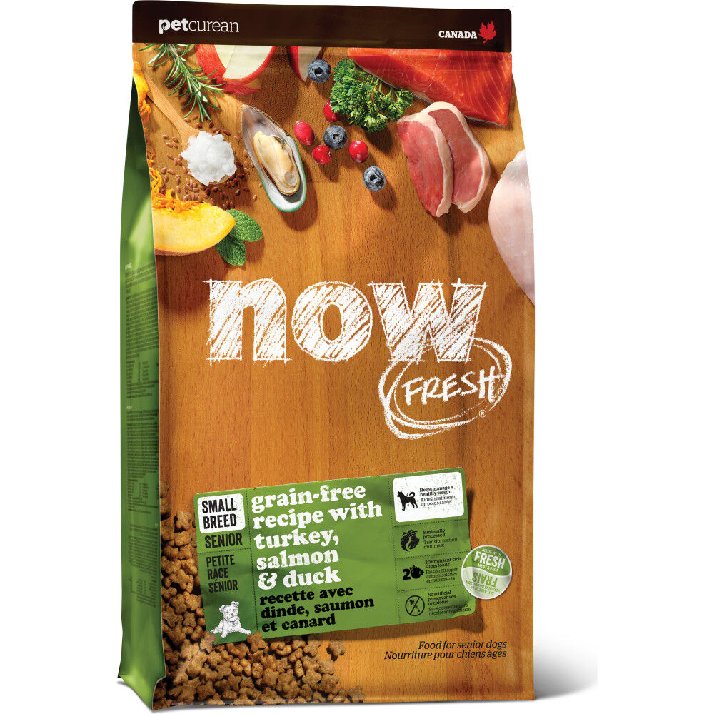 Senior dog food salmon on sale
