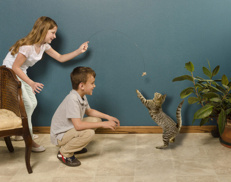 Cat Dancer Products Cat Dancer Cat Toy image number null
