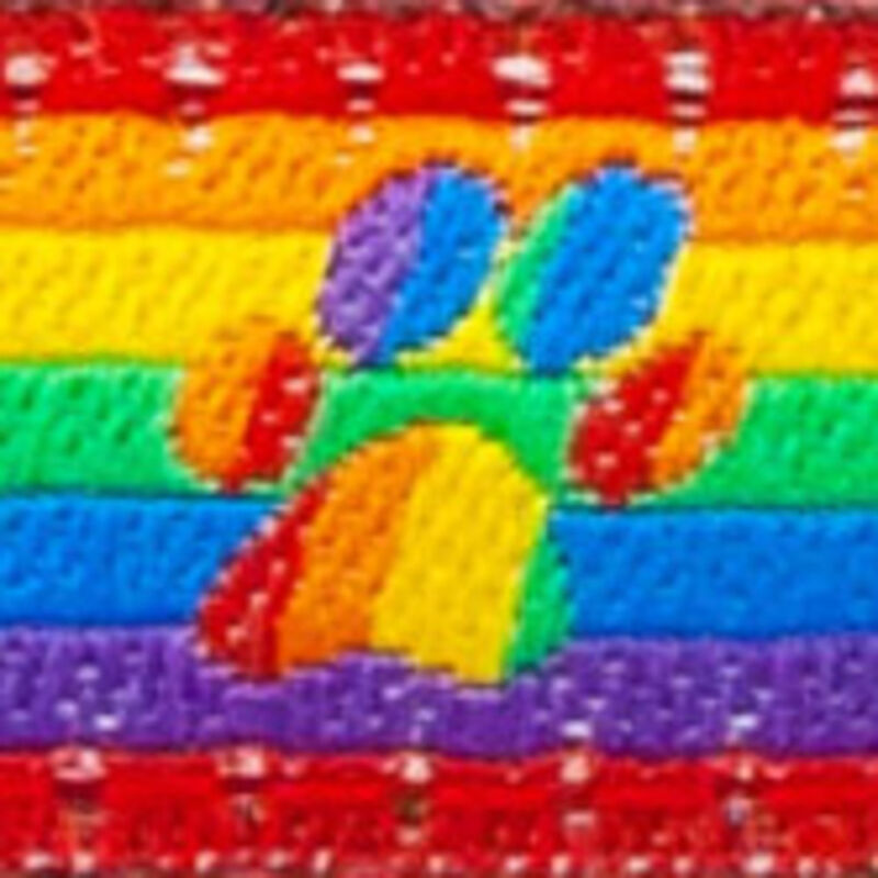 RC Pets Breakaway Cat Collar, Rainbow Paws image number null
