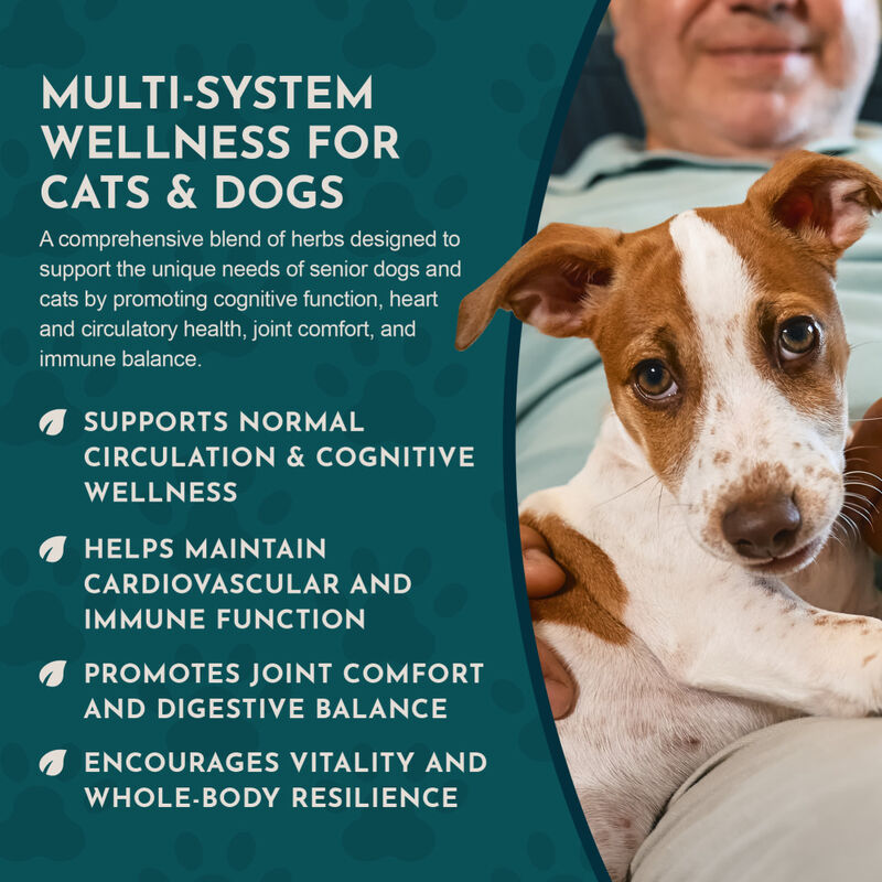 Animal Essentials Senior Support Dog & Cat Supplement, 1-oz image number null