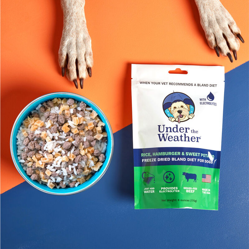 Under the Weather Bland Diet Freeze-Dried Supplemental Dog Food, Rice Hamburger & Sweet Potato, 6-oz image number null