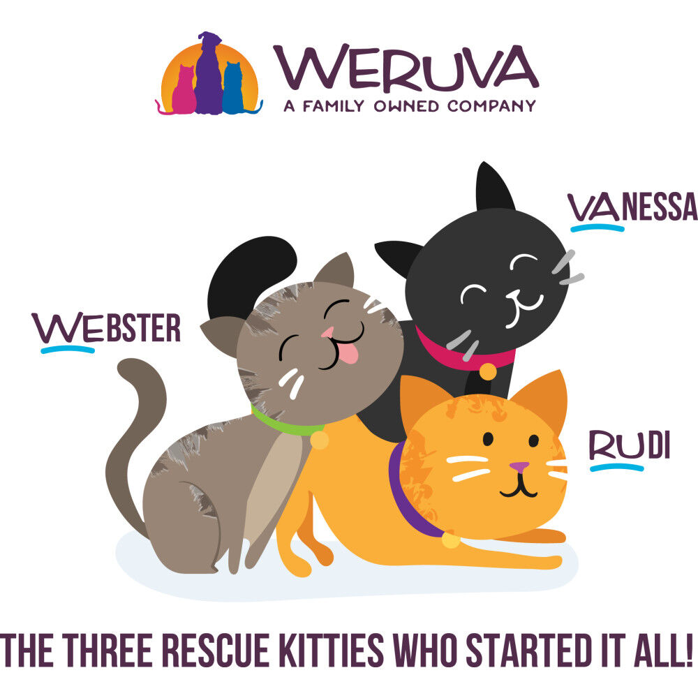 Weruva cats in the cheap kitchen funk in the trunk