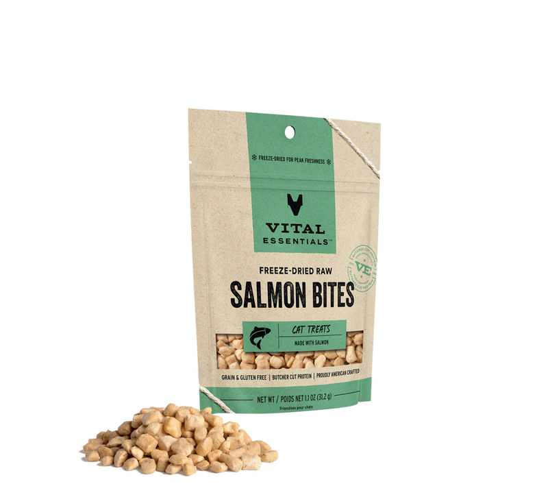 Vital Essentials Raw Freeze Dried Cat Treats Salmon Bites 1.1 oz