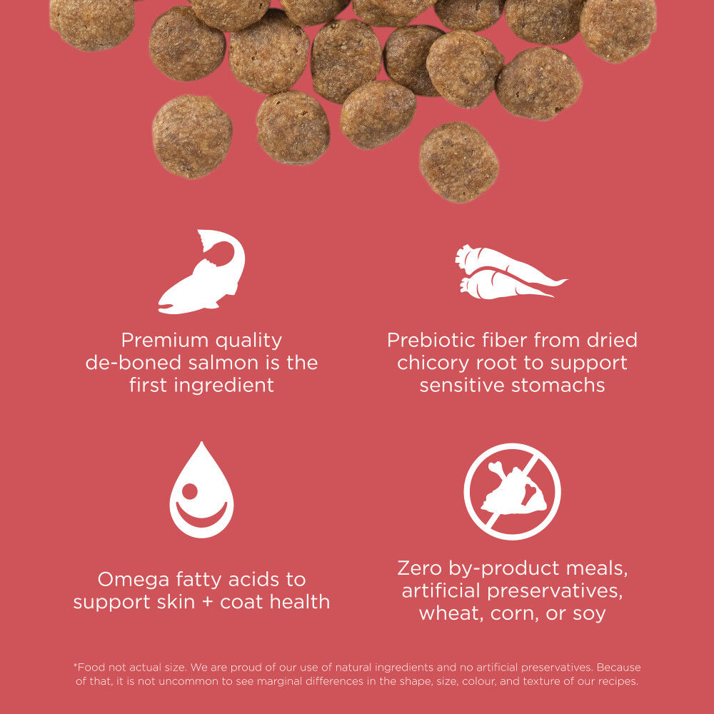 Go natural store dog food