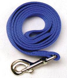 OmniPet One-Ply Nylon Dog Lead, Blue
