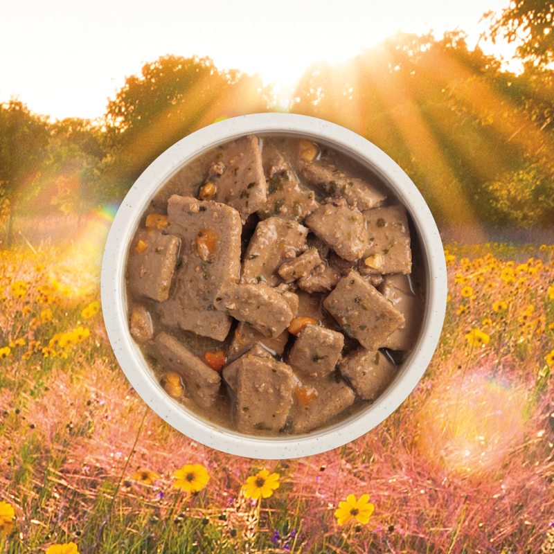 Acana Premium Chunks Canned Dog Food, Poultry Recipe in Bone Broth, 12.8-oz image number null
