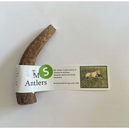 TM Antlers Elk Antler Dog Treat