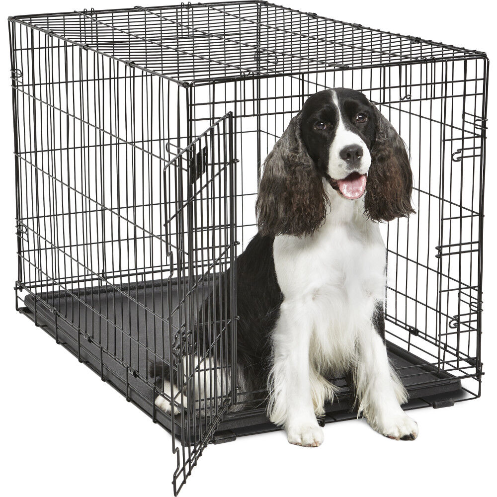 Dog crates 36 inches sales
