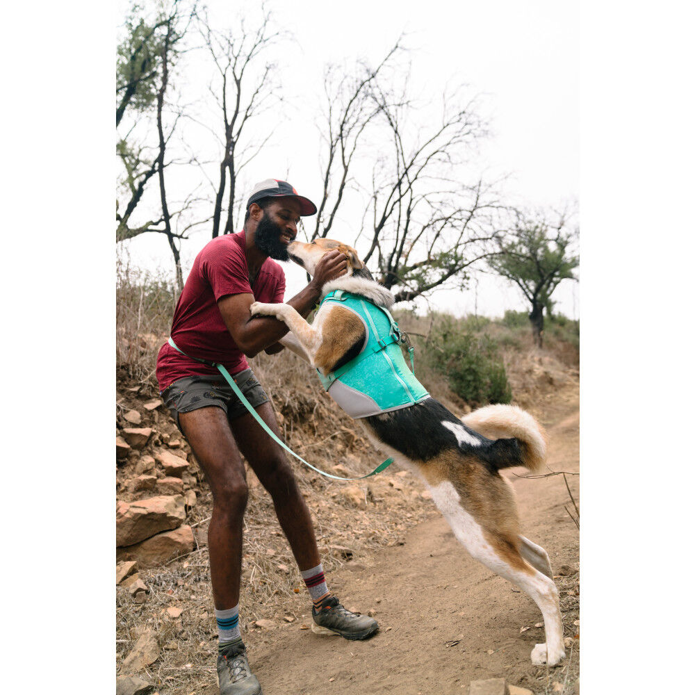 Ruffwear Hi Light Lightweight Dog Harness Sage Green