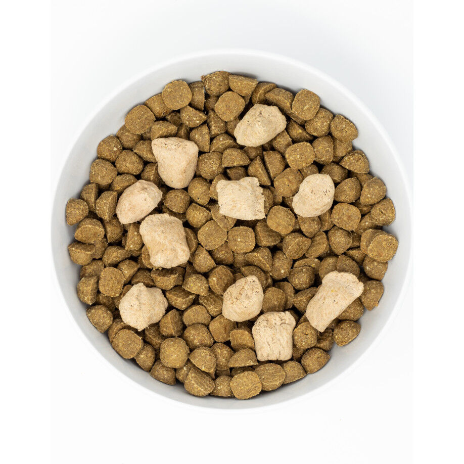 Mud Bay Buy Stella Chewy s Raw Blend Wholesome Grains Dry Dog