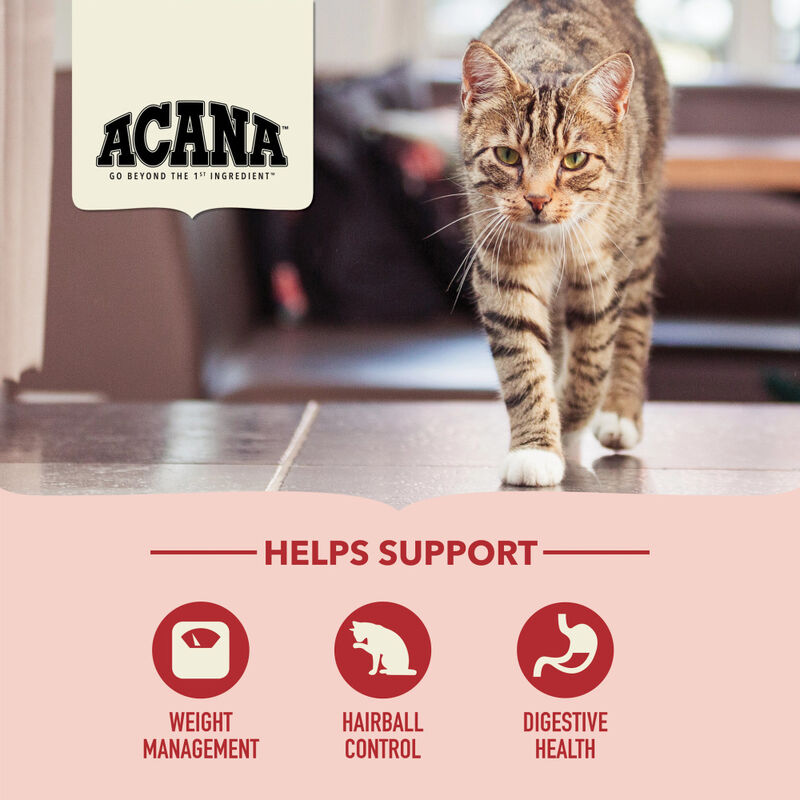 Acana Dry Cat Food, Indoor Entree, 4-lb image number null