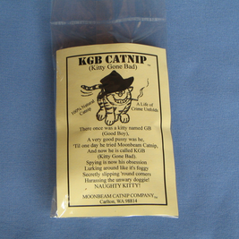 Moonbeam Catnip Pillow Cat Toy
