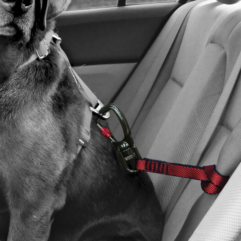 Kurgo Swivel Seat-Belt Tether image number null