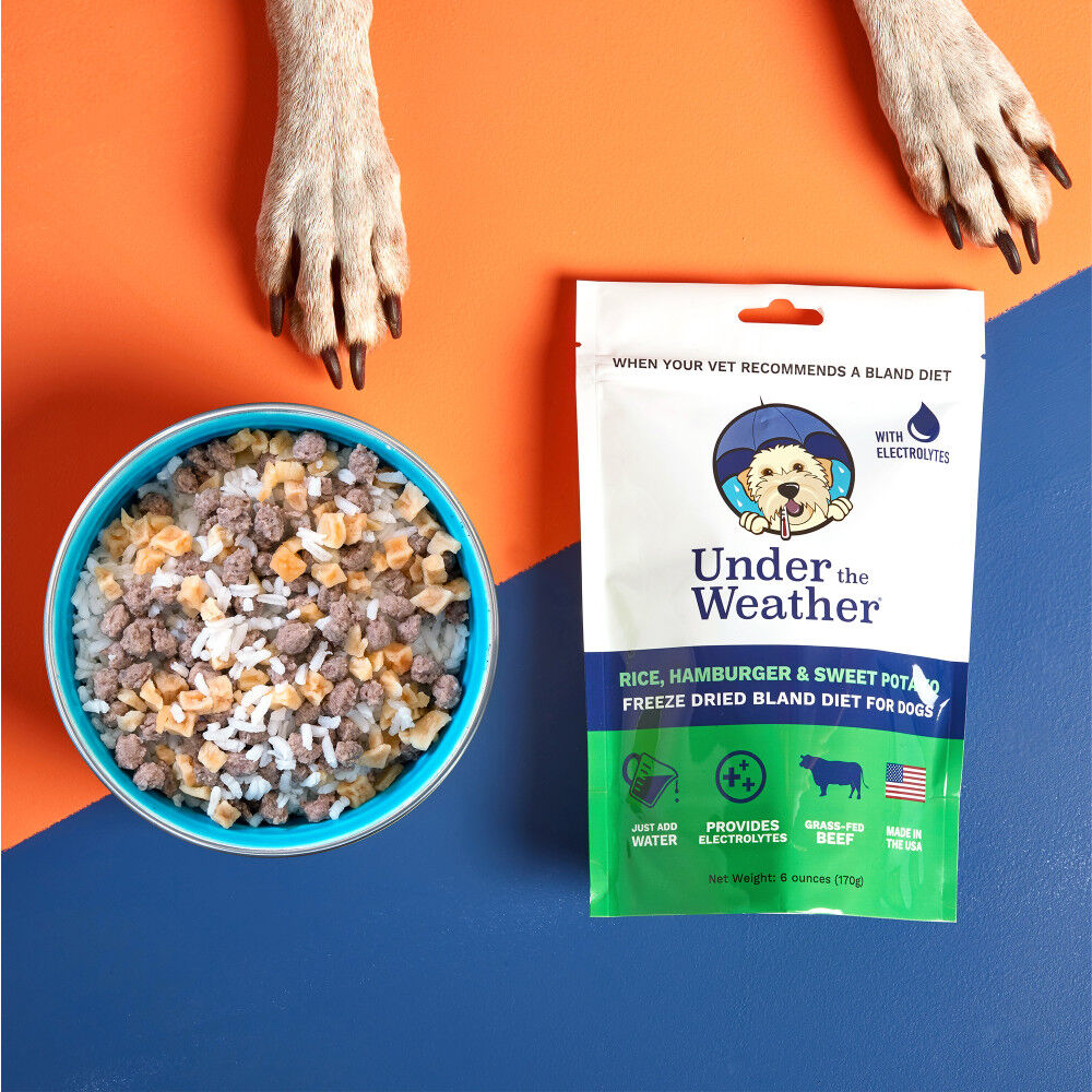 Bland puppy outlet food