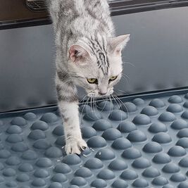 PetPals Cat Litter Box Mat, Air Bubble Paw Scrub, Grey