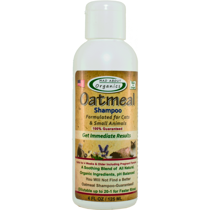 Can you use oatmeal cheap dog shampoo on cats