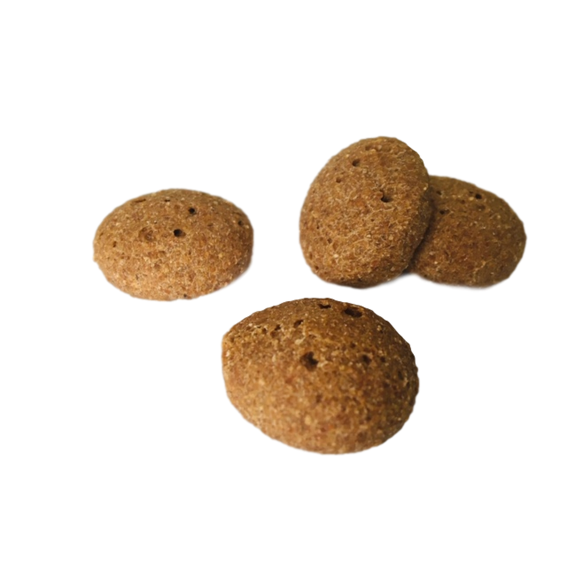 bulk dog biscuits
