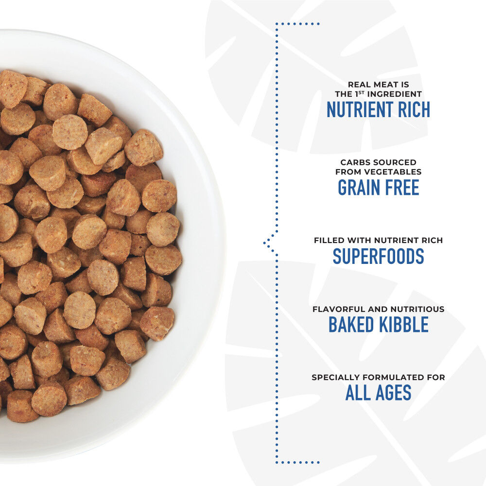 Tiki deals puppy food