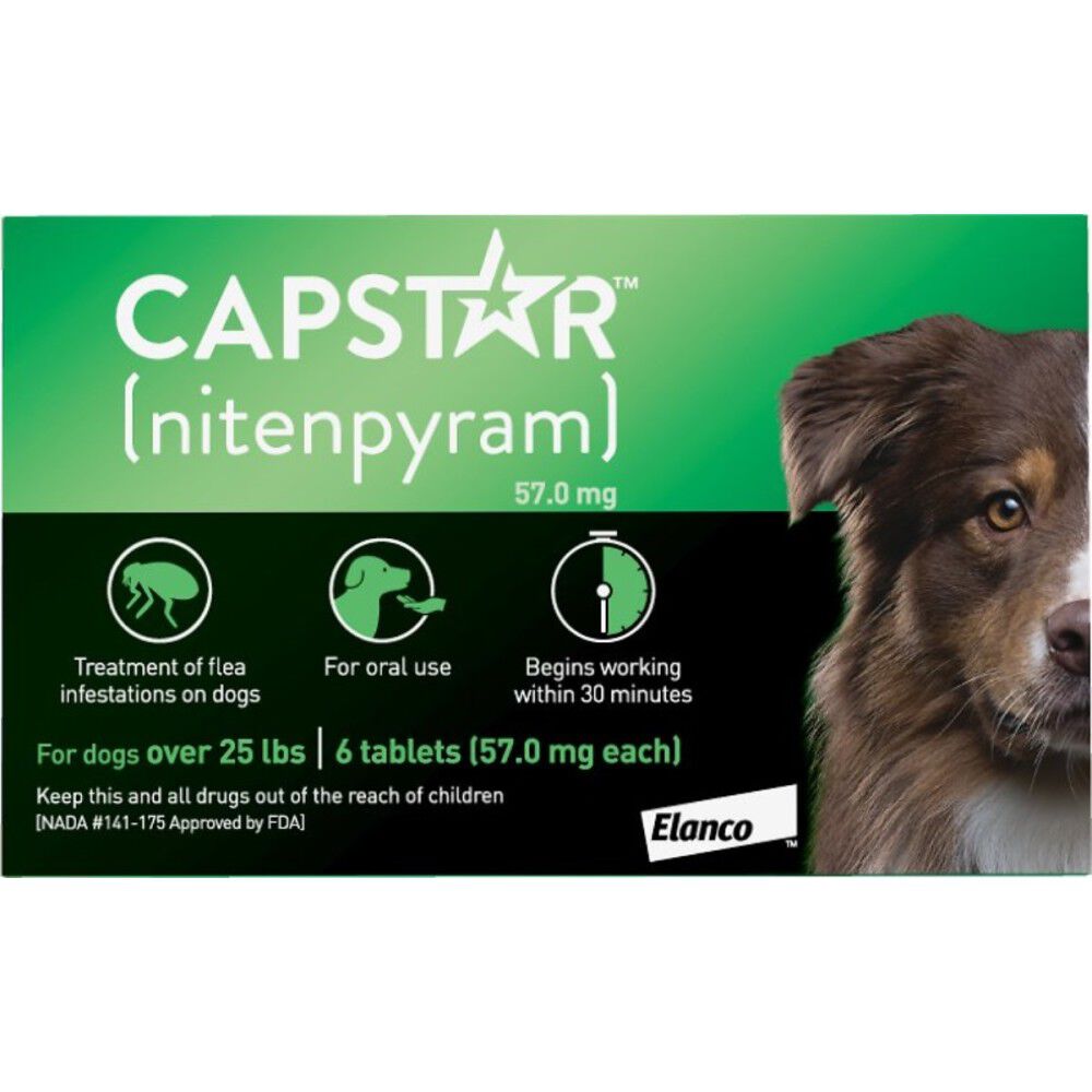Oral flea shop and tick medicine