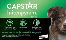 Capstar Oral Flea Treatment for Dogs 26-125 lbs, 6-pack