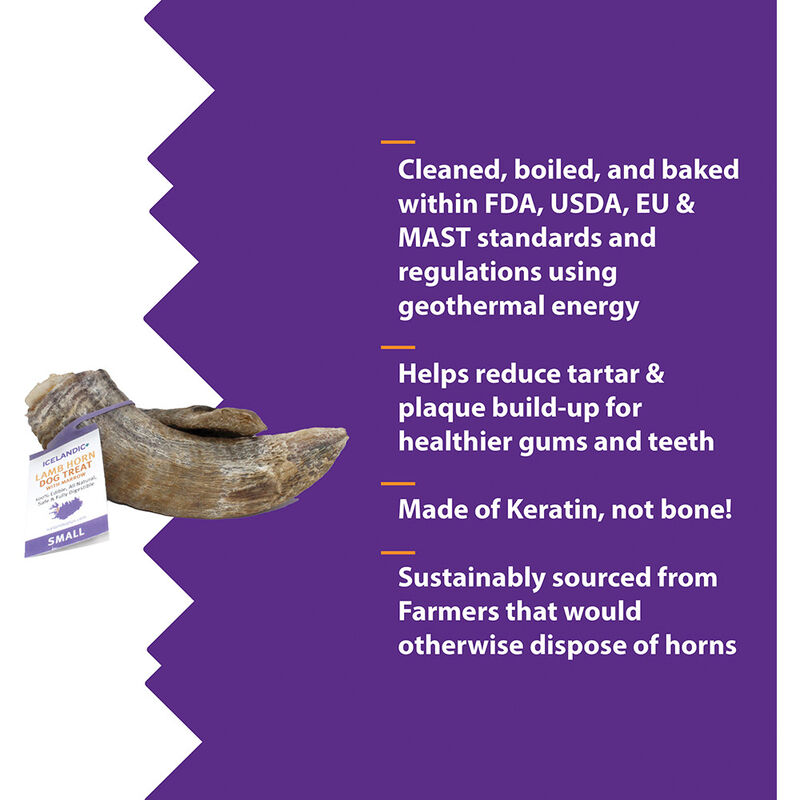 Icelandic+ Small Lamb Horn With Marrow Dog Treat, Small , 4-4.7in