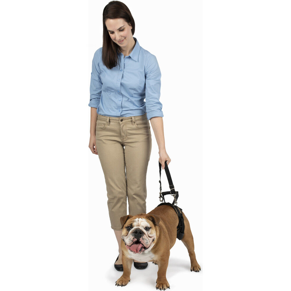 Carelift harness best sale