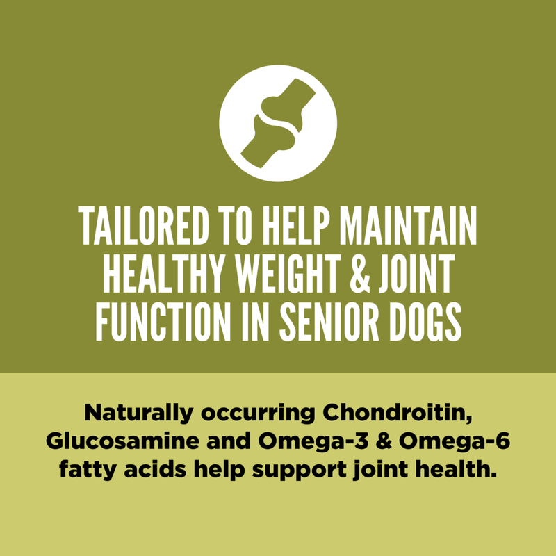 Orijen Grain-Free Dry Dog Food, Senior image number null
