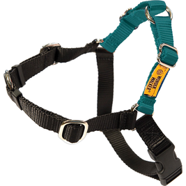 Dolan's Dog Doodads Wonder Walker Body Halter Dog Harness, Teal
