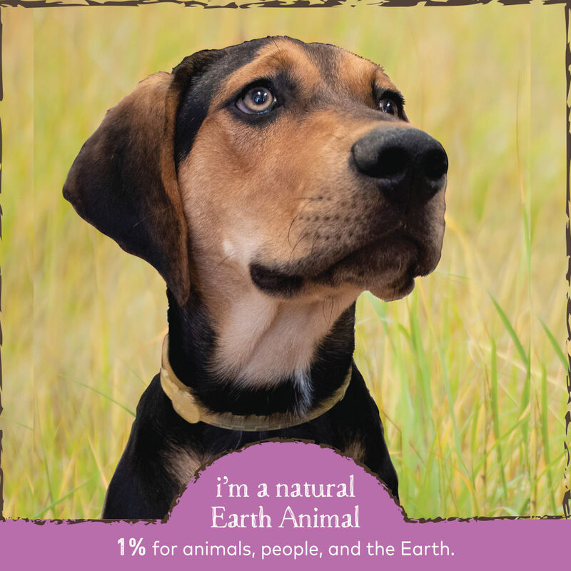 Earth Animal Nature's Protection Flea & Tick Herbal Yeast-Free Daily Internal Powder Dog & Cat Supplement, 8-oz