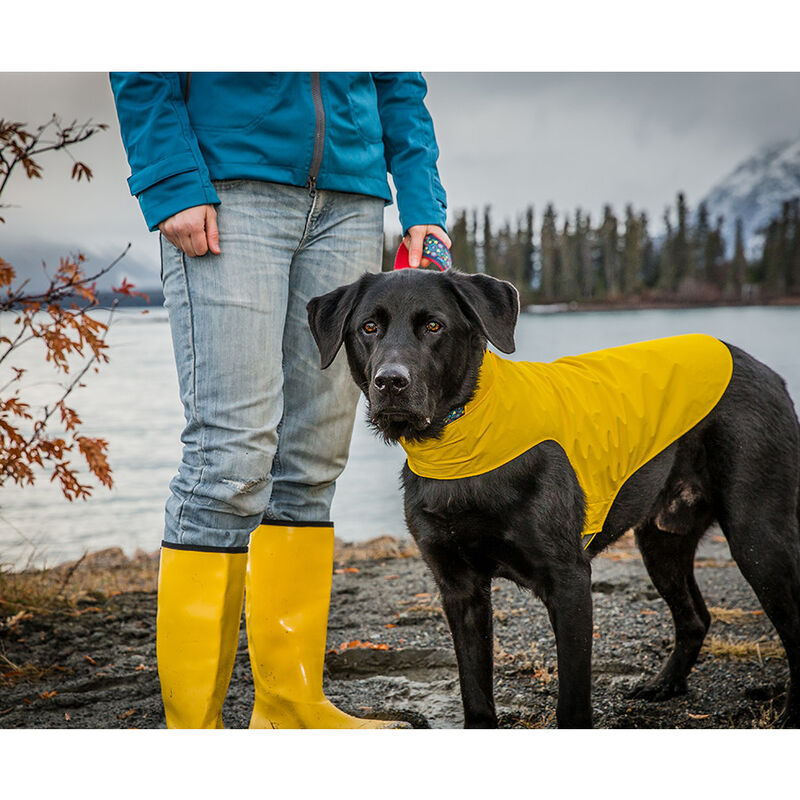 RC Pets Delta Dog Rain Slicker, Lemon, XX-Small image number null
