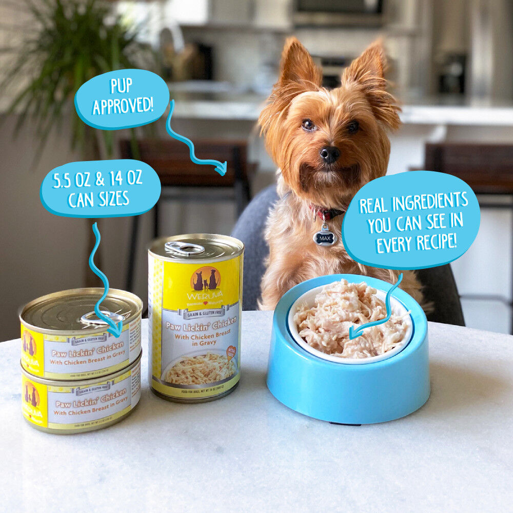 Weruva canned shop food