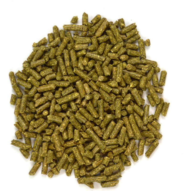 Oxbow Garden Select Chinchilla Food, 3-lb image number null