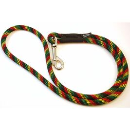 Krebs Recycle Heeler Dog Leash, Assorted Colors, 2-ft