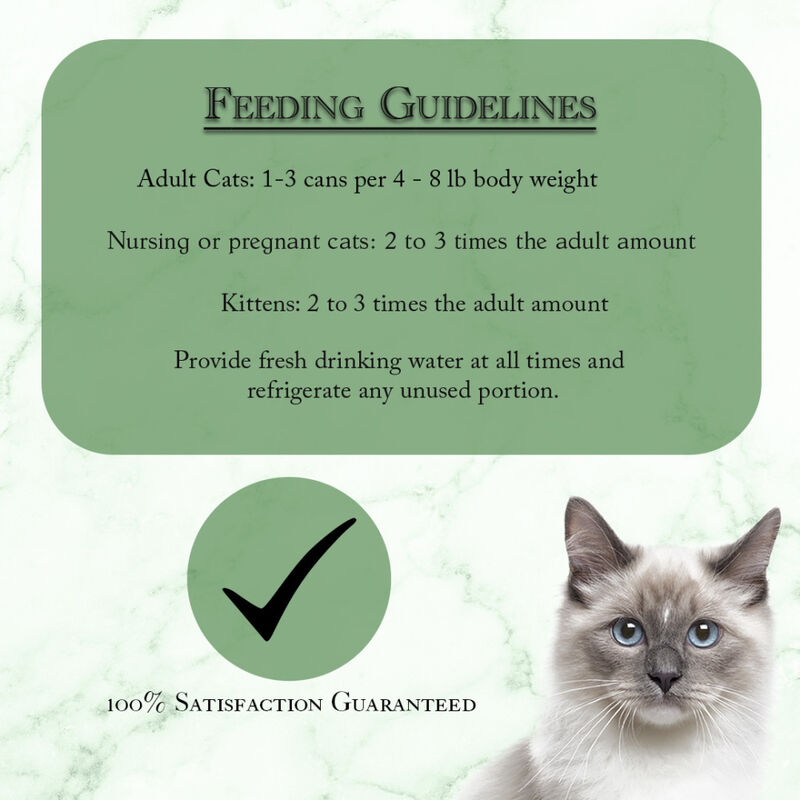 Fussie Cat Fine Dining Pate Canned Cat Food, Ocanfish & Salmon, 2.86-oz image number null
