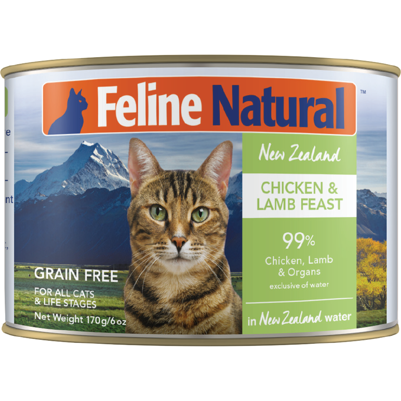Mudbay cat on sale food
