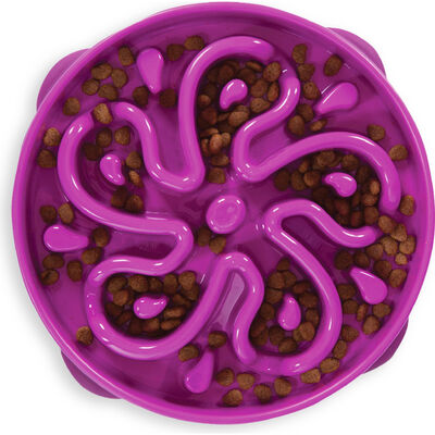 Outward Hound Fun Feeder Slo Bowl, Flower, Purple, Large