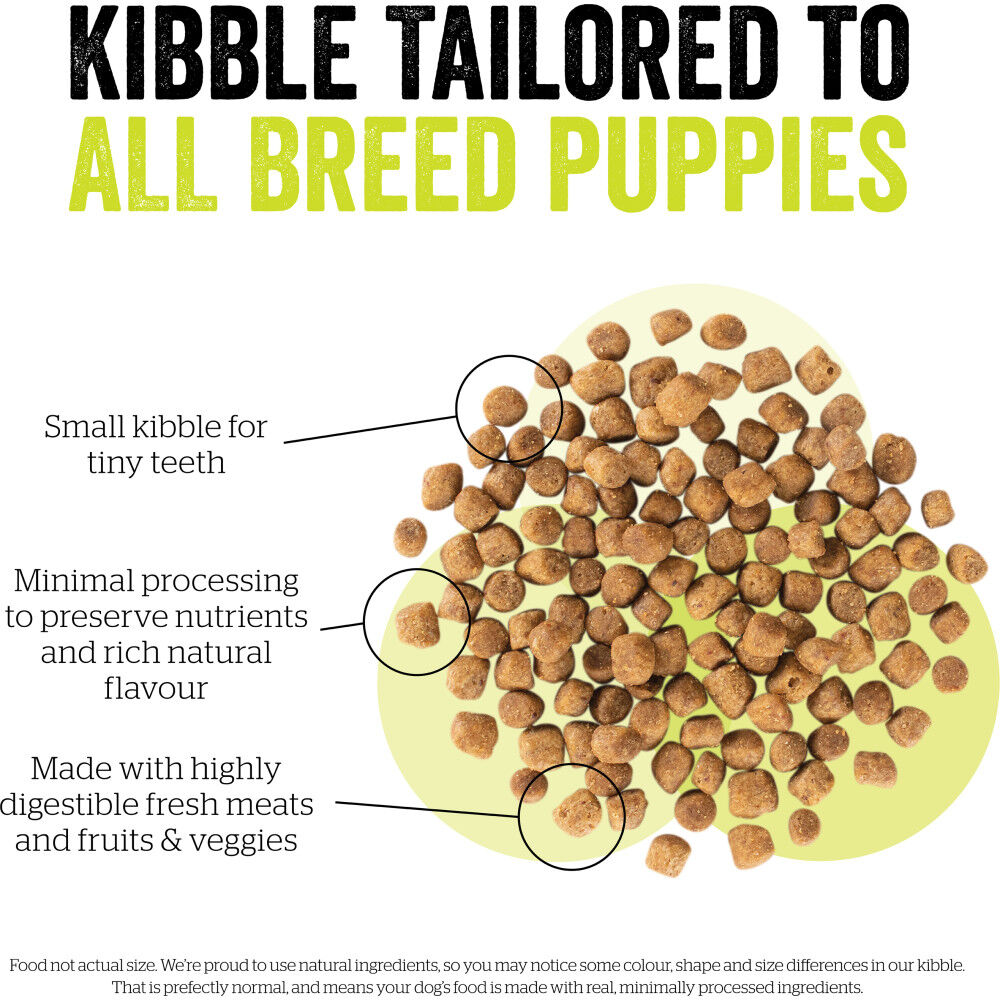 Now kibble cheap