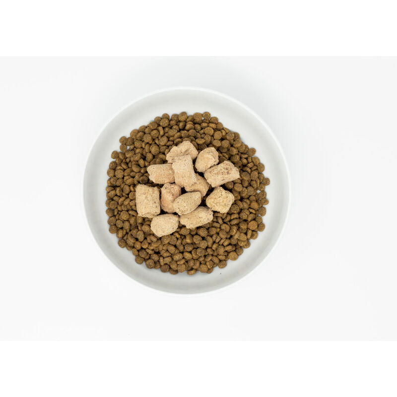 Stella & Chewy's Dinner Morsels Raw Freeze-Dried Cat Food, Chick Chick Chicken, 8-oz image number null