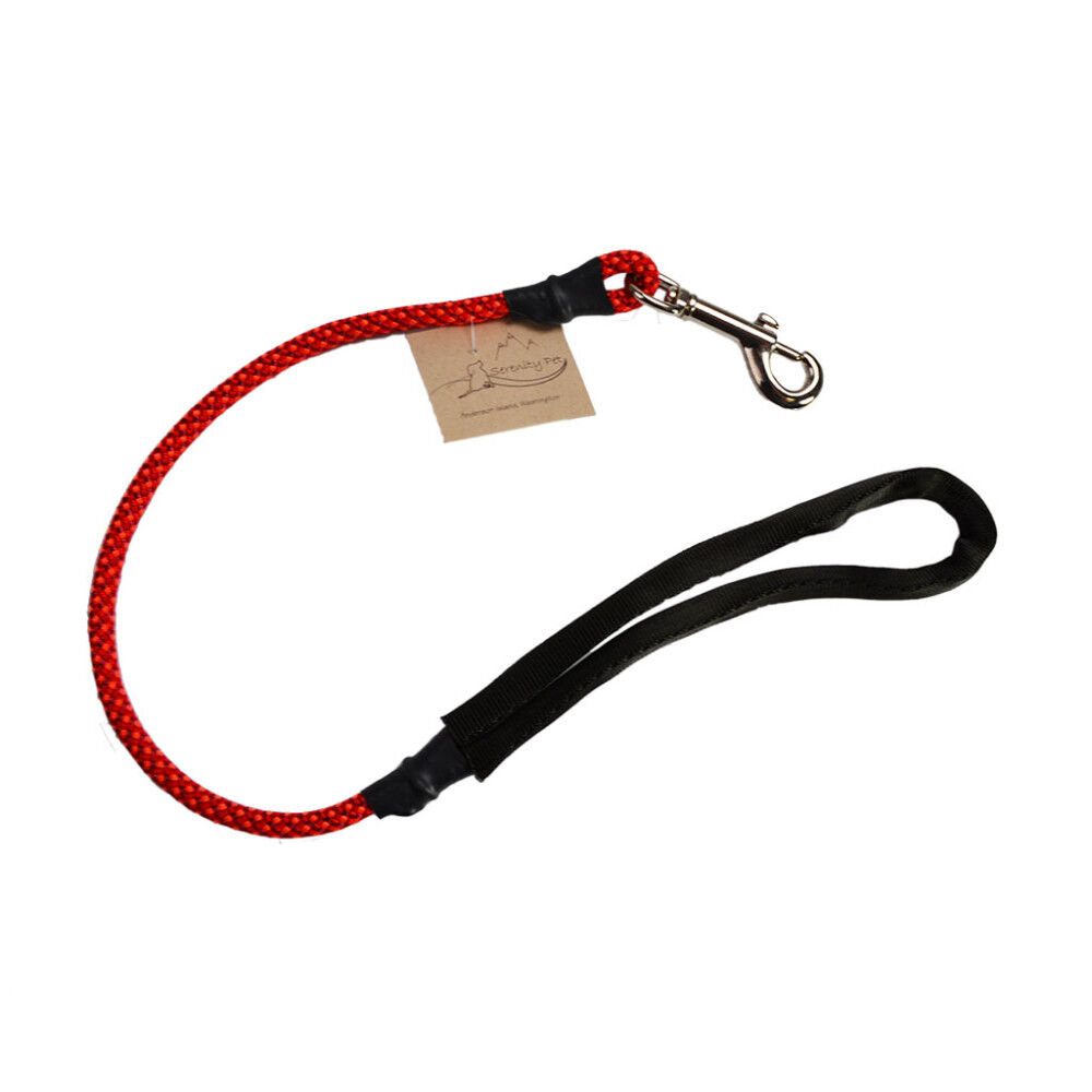 Traffic clearance lead dog