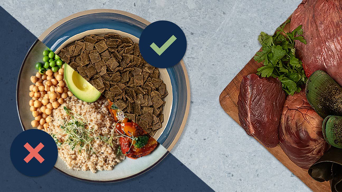comparison of food bowls and ingredients