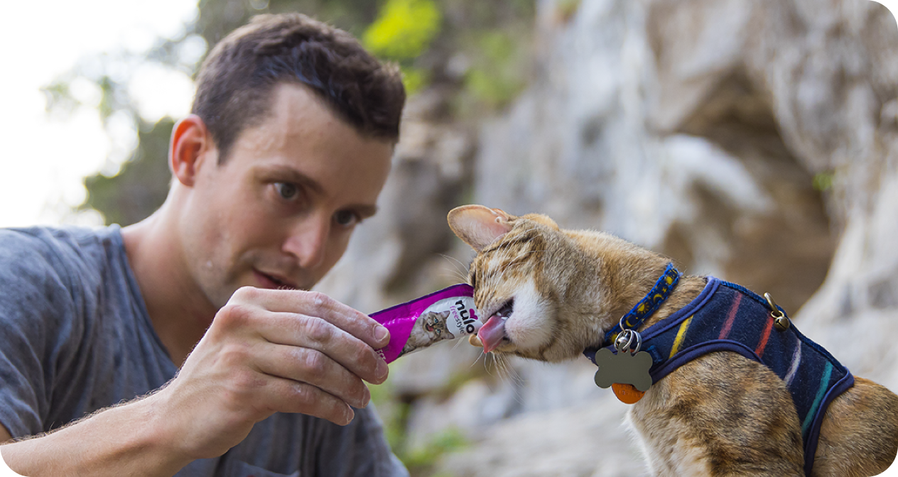 man feeding treat to cat
