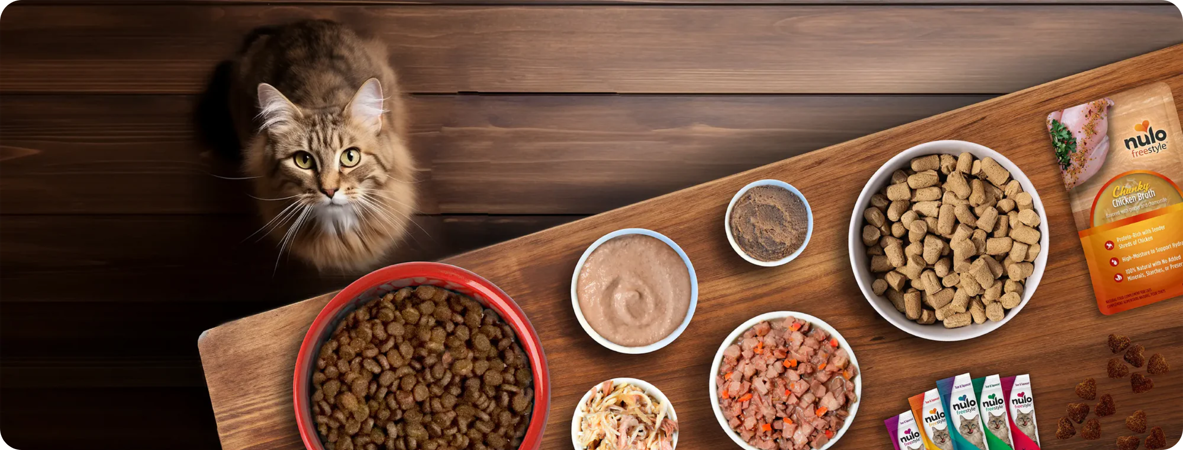cat with table full of Nulo cat foods