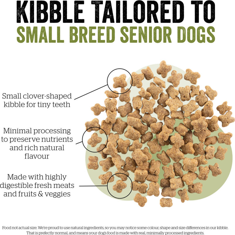 Now Fresh Dry Dog Food, Small Breed Senior, Turkey Salmon & Duck, 6-lb image number null