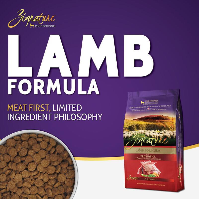 Zignature Limited Ingredient Dry Dog Food, Lamb image number null
