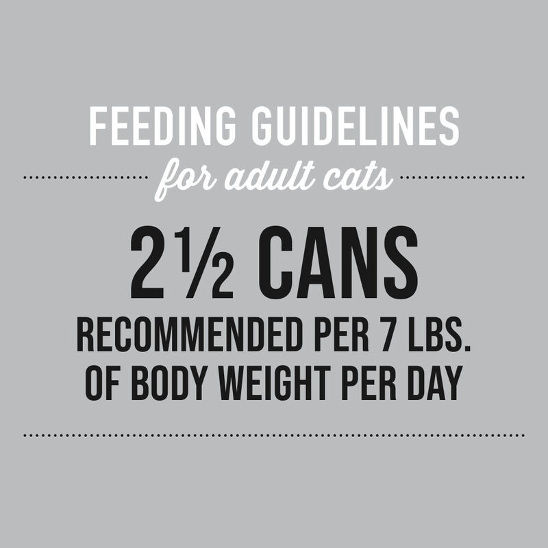 Tiki Cat Silver Canned Cat Food, Senior, Chicken, 2.4-oz image number null