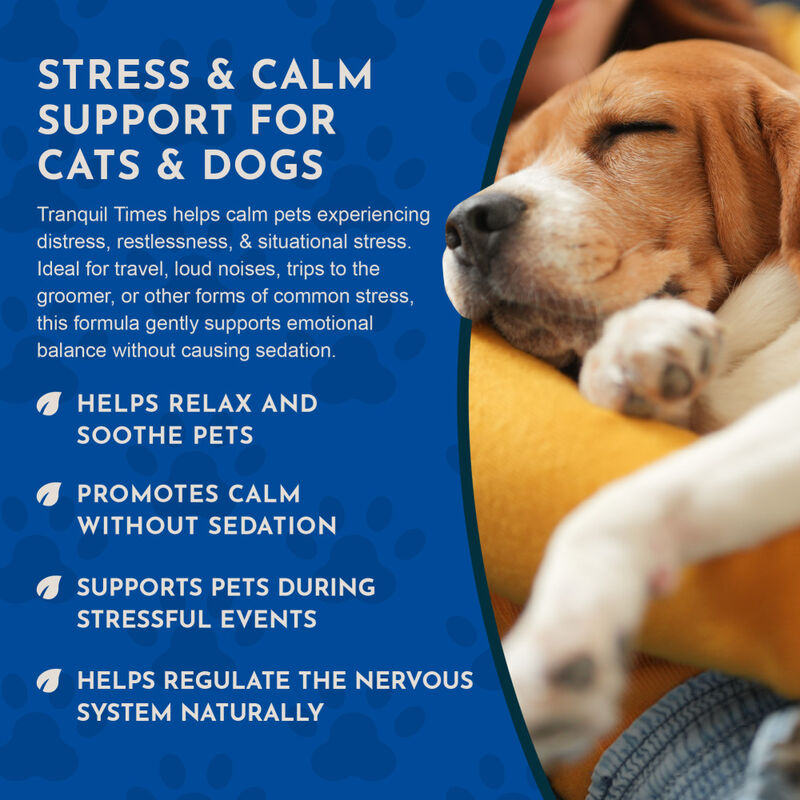 Animal Essentials Tranquility Blend Herbal Dog & Cat Supplement, 1-oz image number null