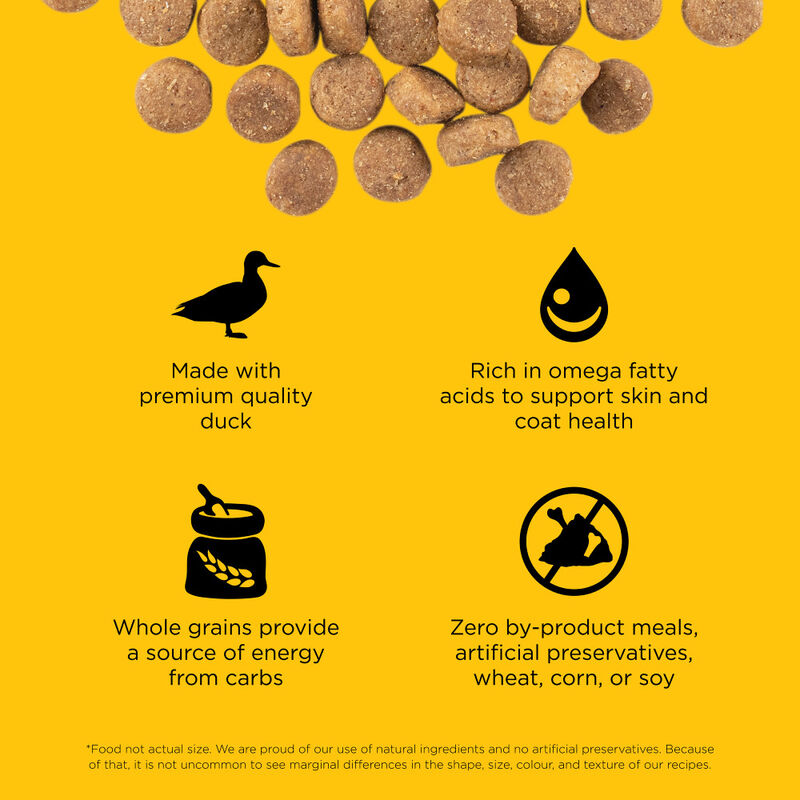 Go! Solutions Skin + Coat Care Dry Dog Food, Duck & Grains image number null