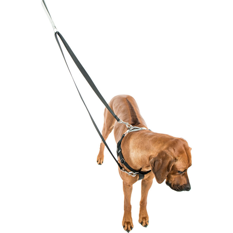 2 Hounds Design Freedom Training Dog Leash, Black image number null