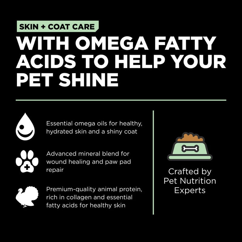 Go! Solutions Skin + Coat Care Dry Dog Food, Turkey & Grains image number null