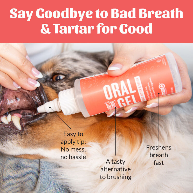 Skout's Honor Oral Care Oral Gel for Pets, Peanut Butter & Bacon, 4-oz image number null